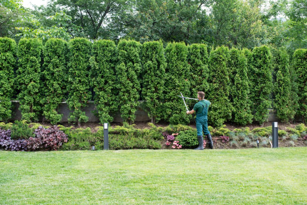 Best Arborist Consultation Services  in Atkins, VA